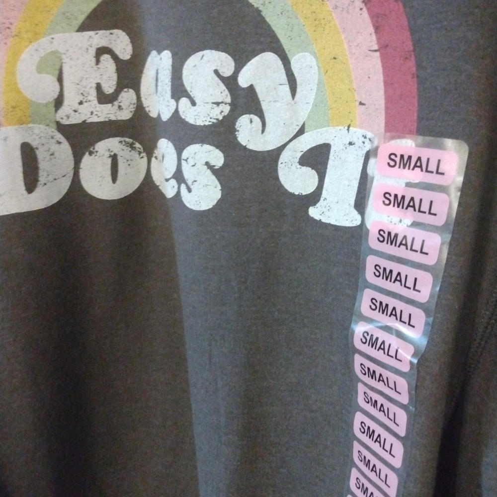 Wildfox NWOT "Easy Does It" Gray Super Soft Stylish Streetwear Sweatshirt S - Picture 2 of 5